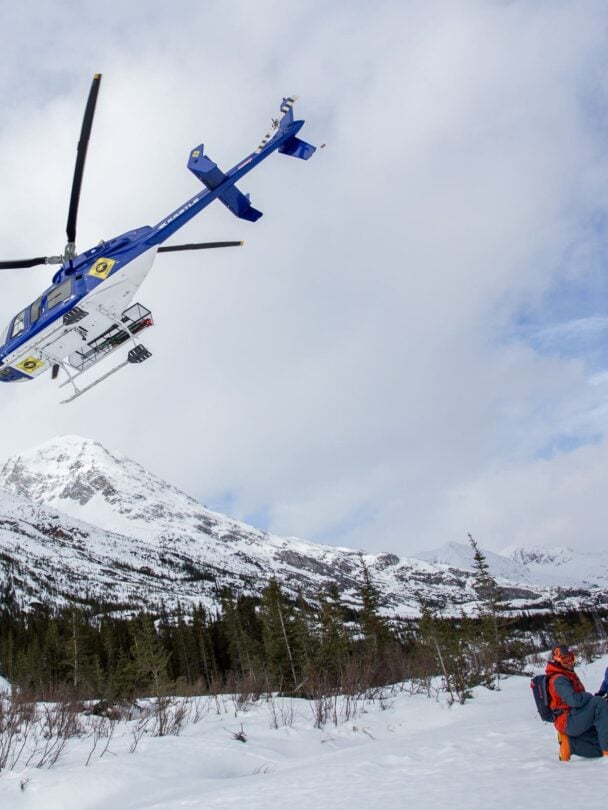 One skier fresh pow