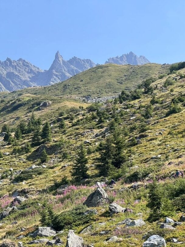 mont blanc views alps