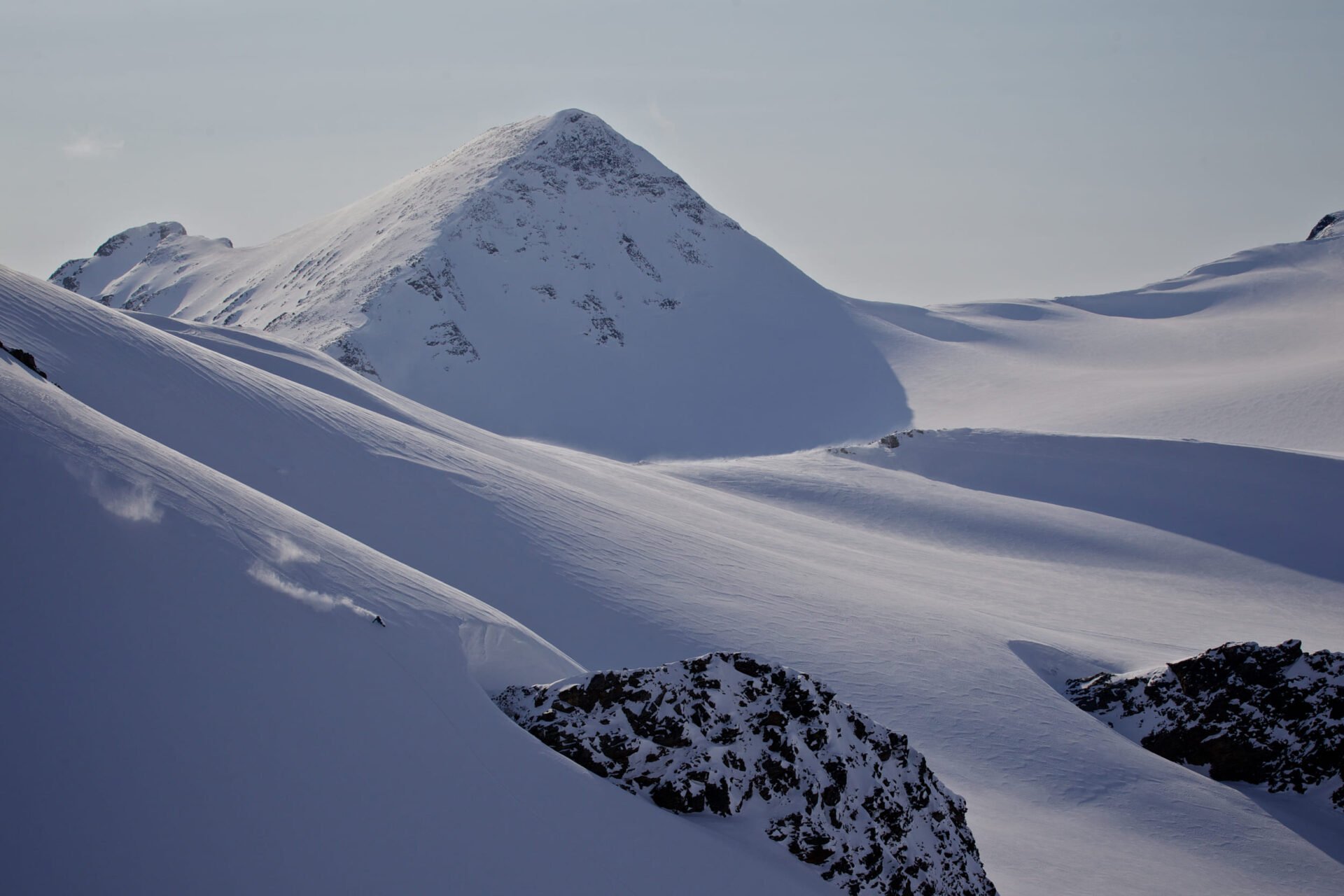 One skier fresh pow