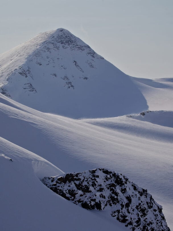 One skier fresh pow