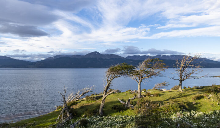 Puerto Williams Chile