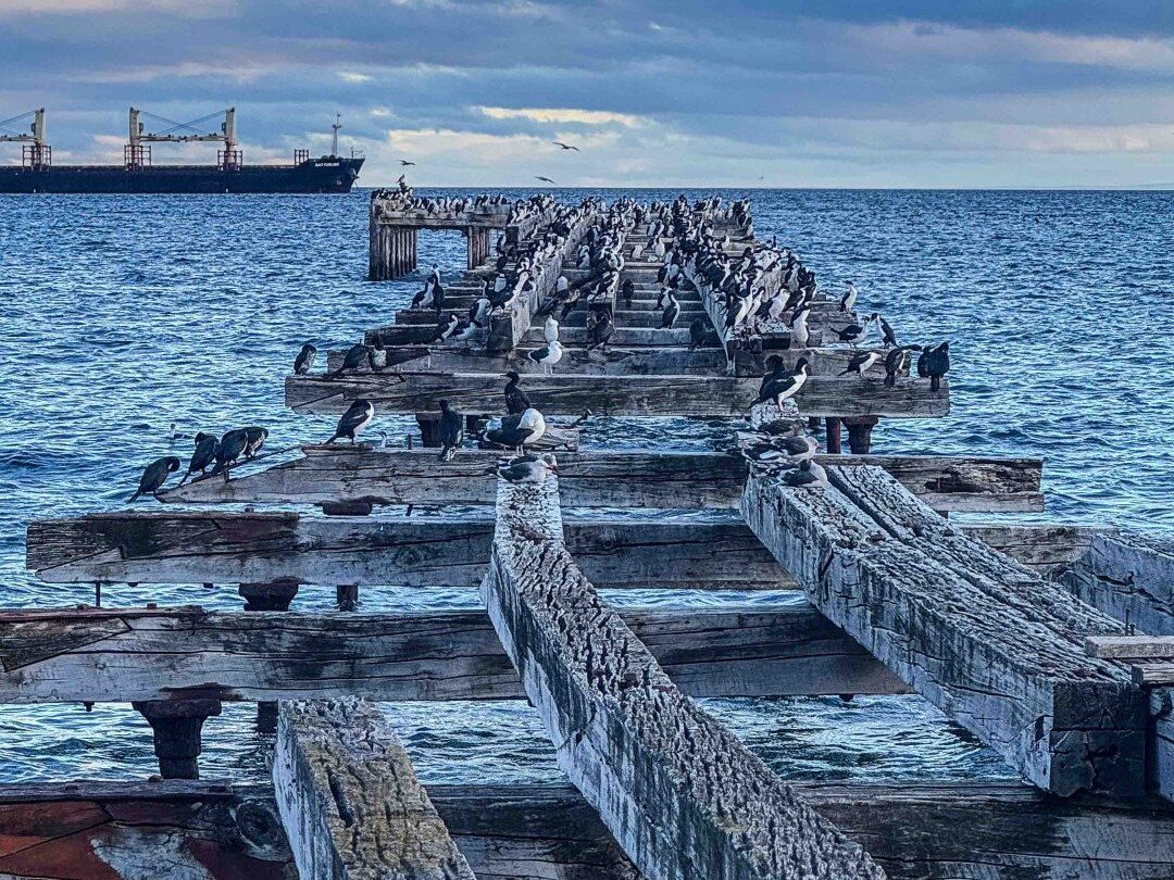 Punta Arenas spot