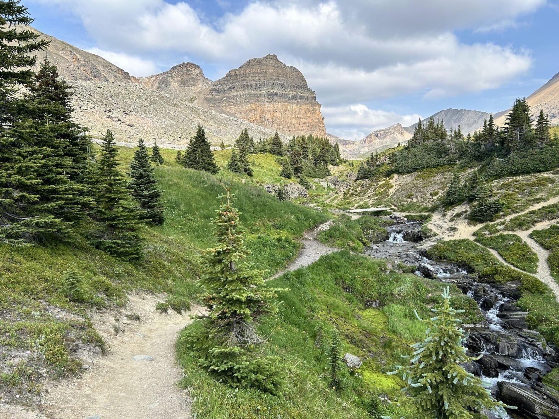 Rover Rockies