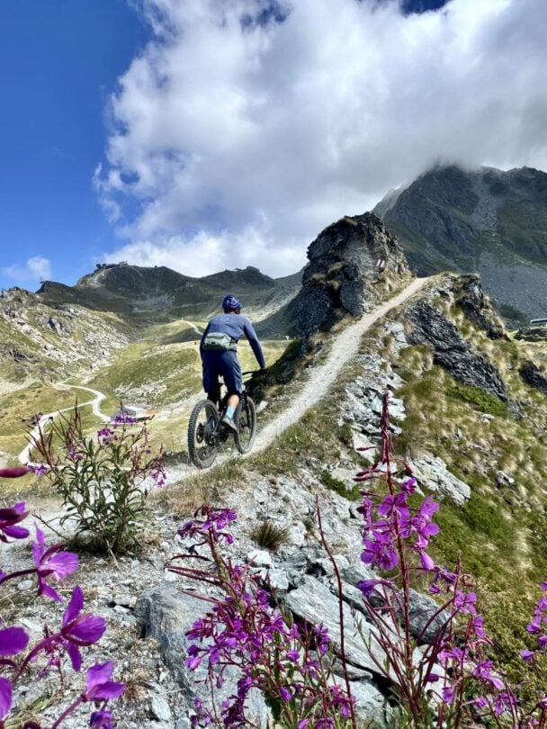Wildflowers Mont Blanc MTBers
