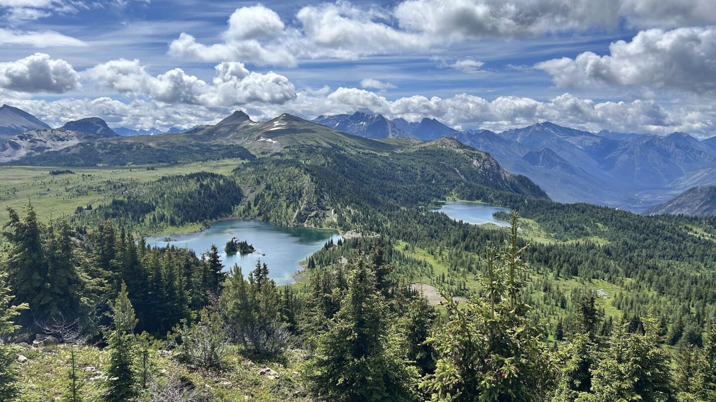 SUnshine meadows Rockies