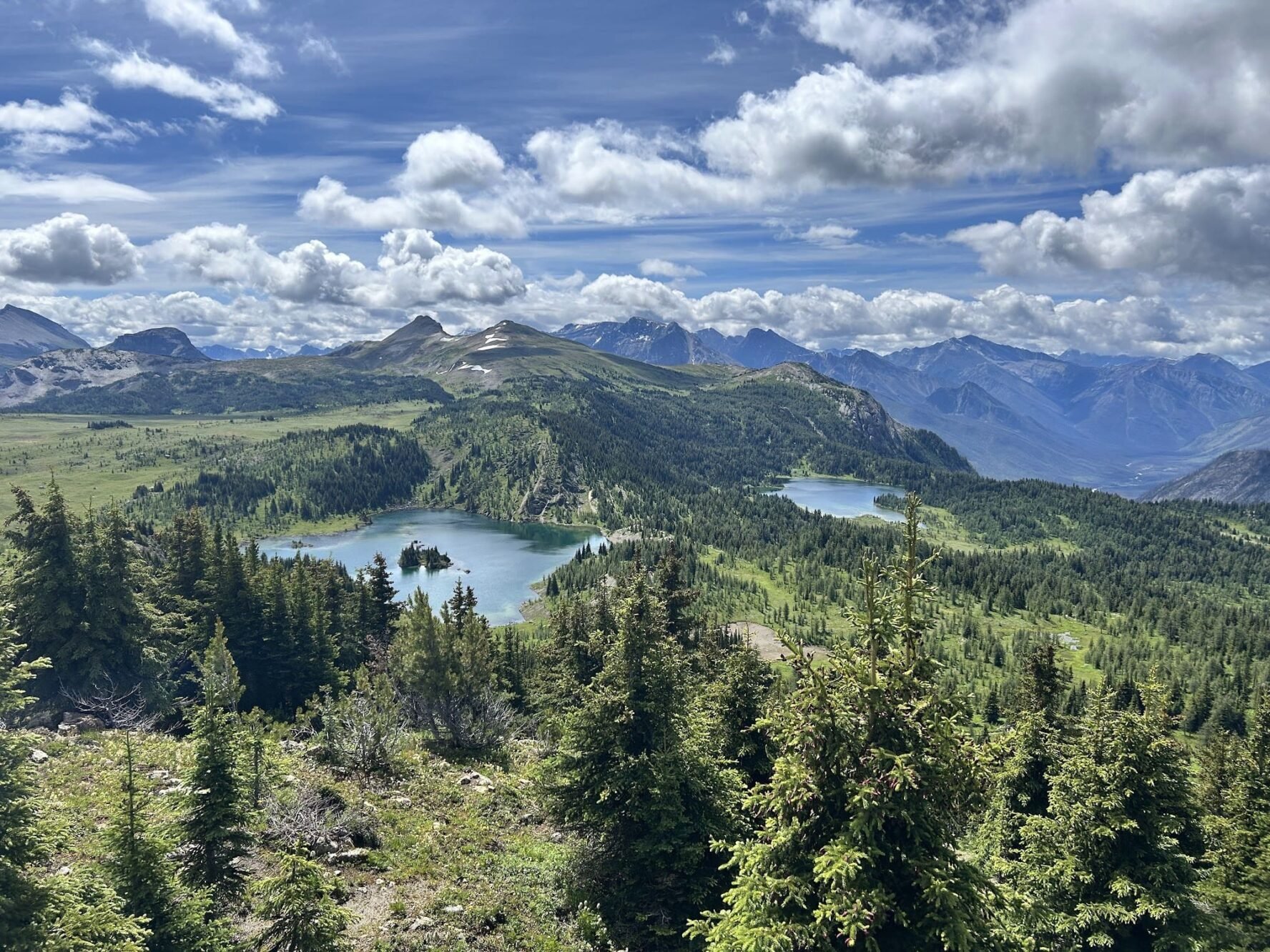 SUnshine meadows Rockies