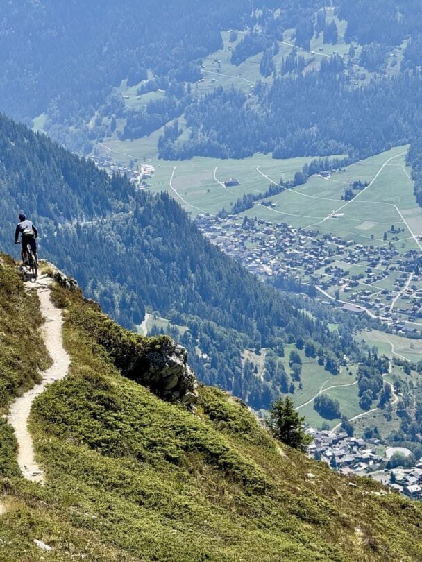 Wildflowers Mont Blanc MTBers