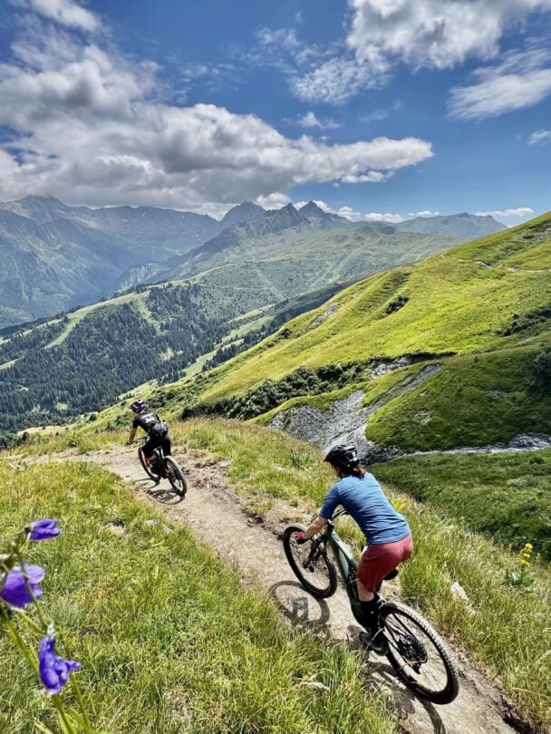 Wildflowers Mont Blanc MTBers