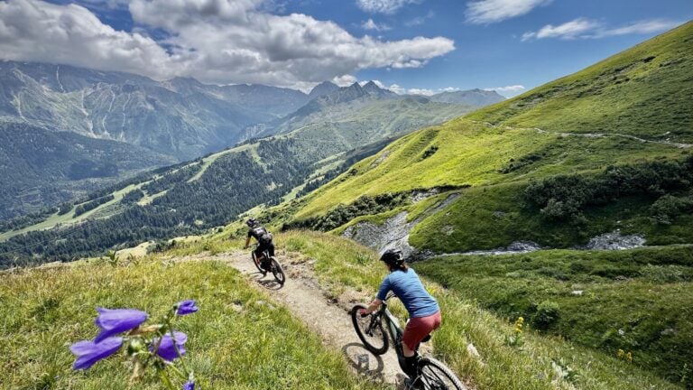 Wildflowers Mont Blanc MTBers