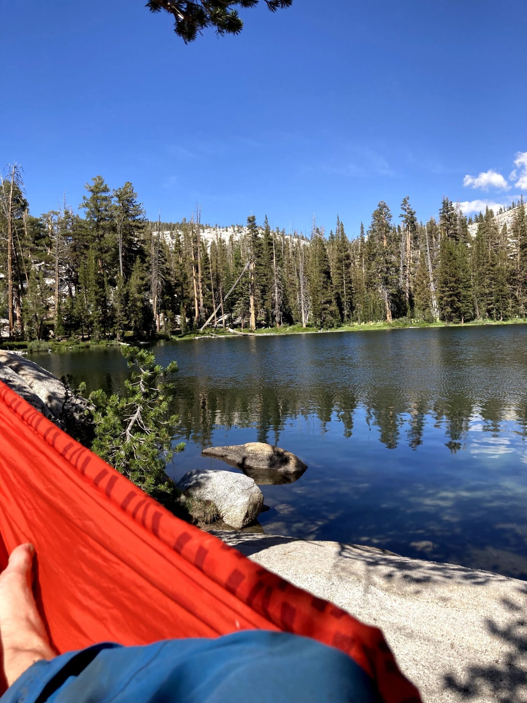 Yosemite hammock