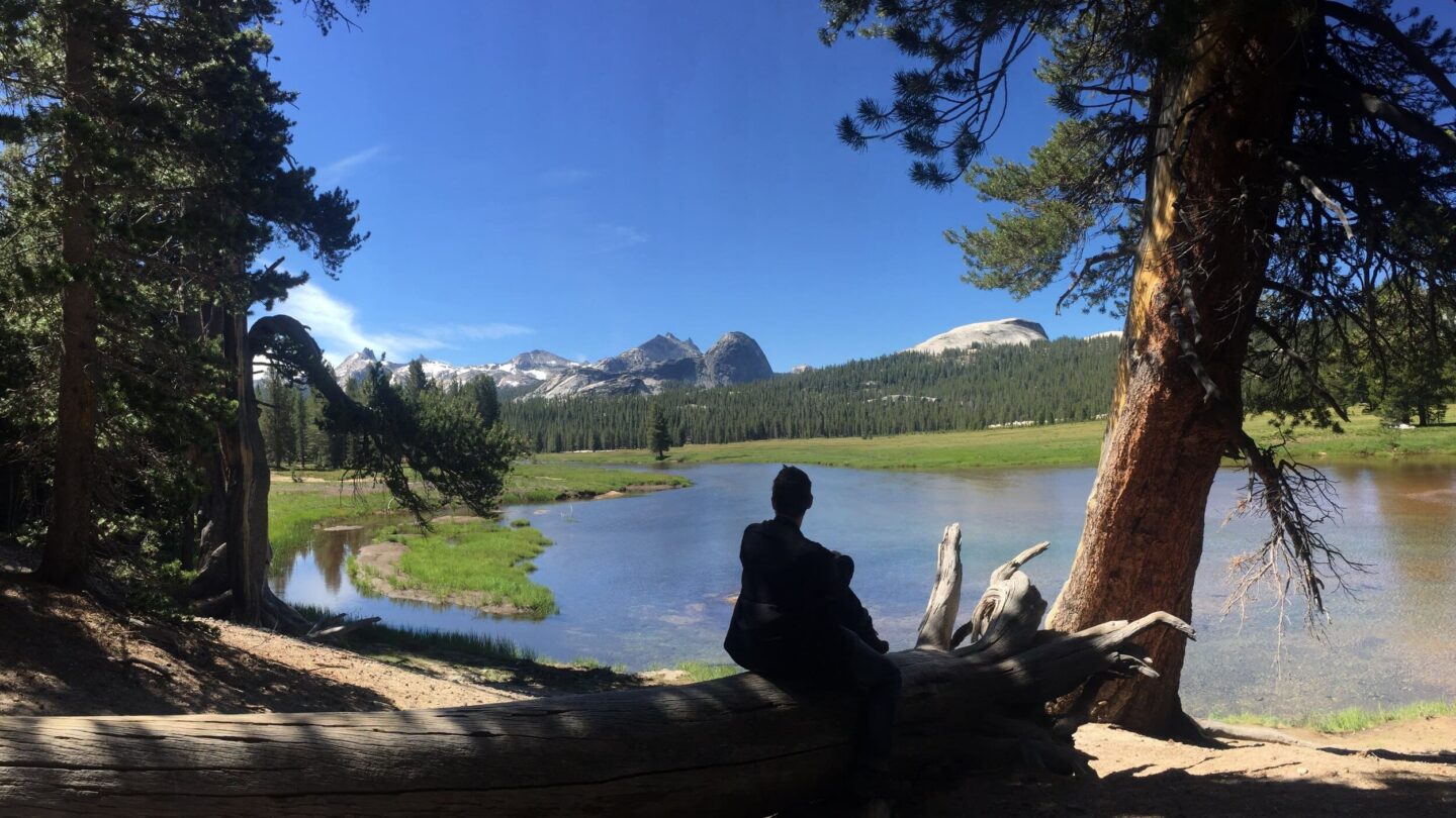 Yosemite trees lake