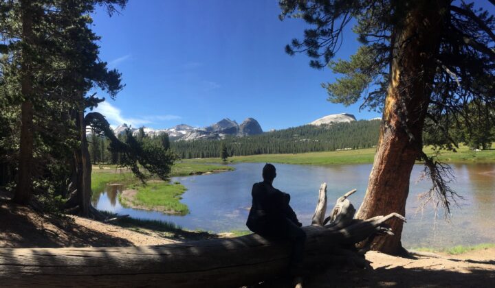 Yosemite trees lake
