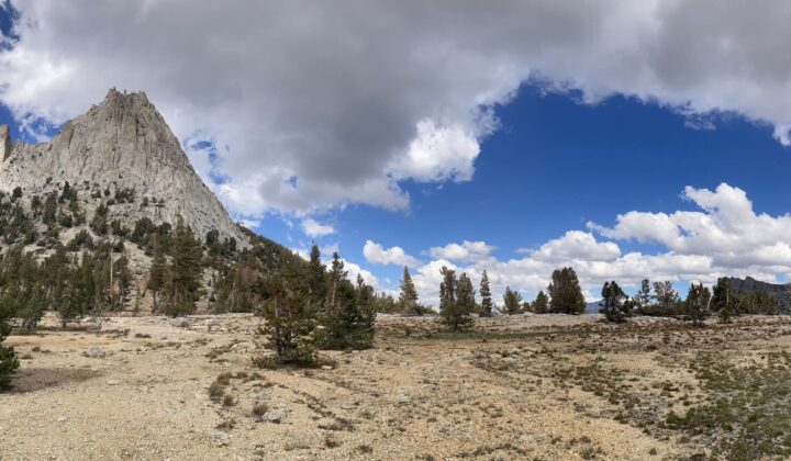 Yosemite views