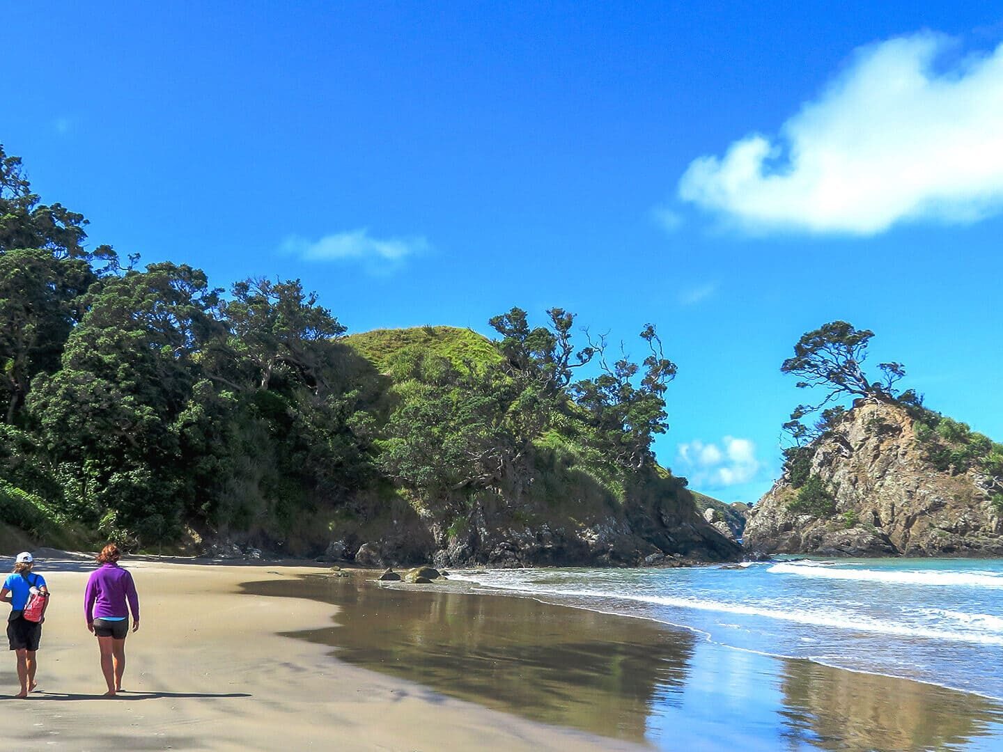 Beach walking New Zealand