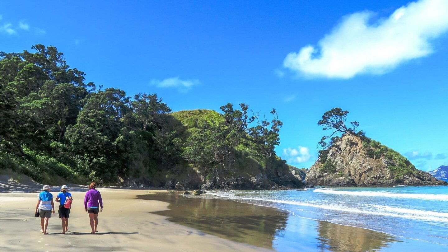 Beach walking New Zealand