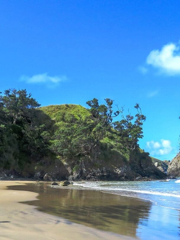 Great Barrier Island walk