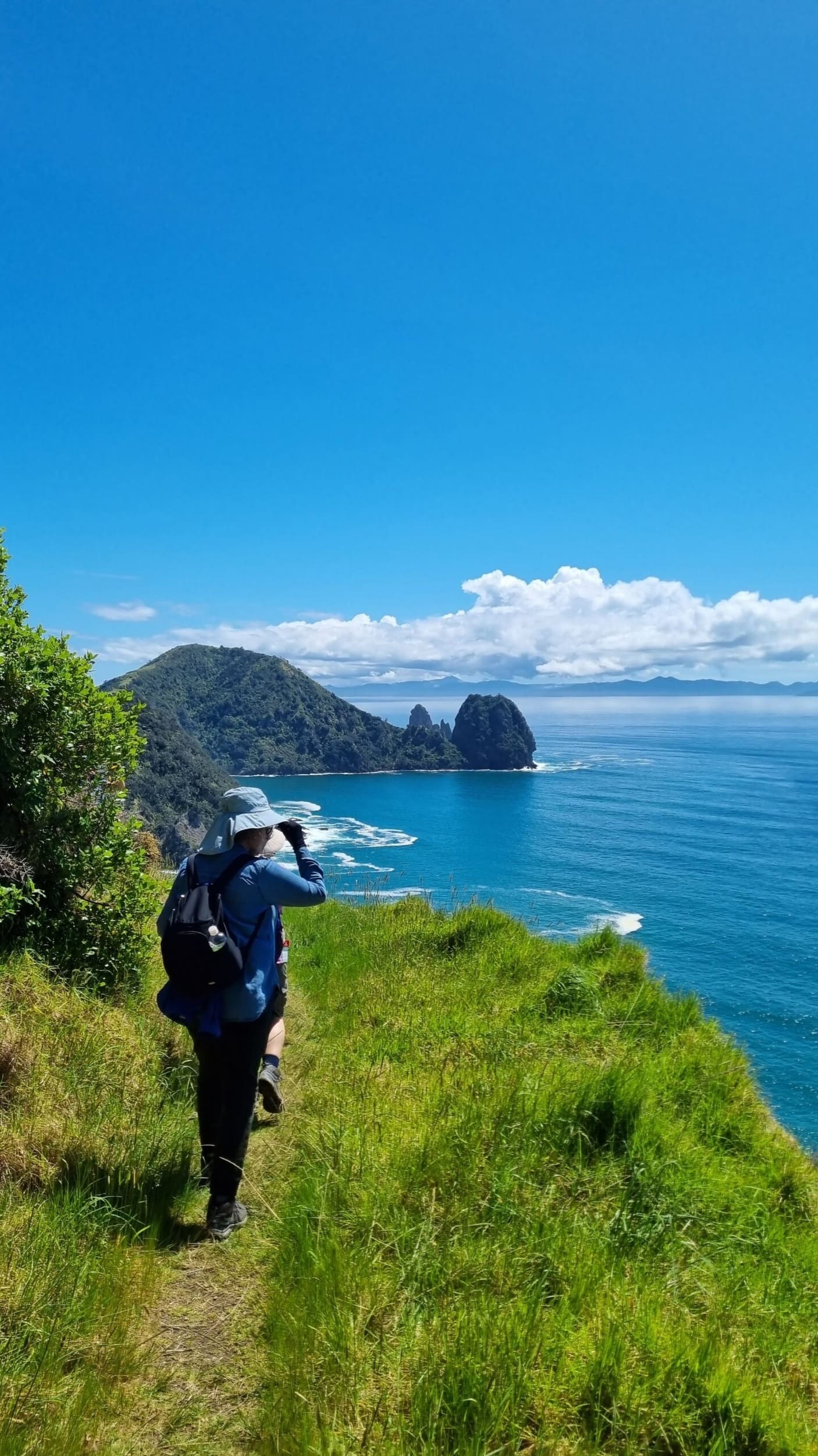 Coromandel coastal walkway