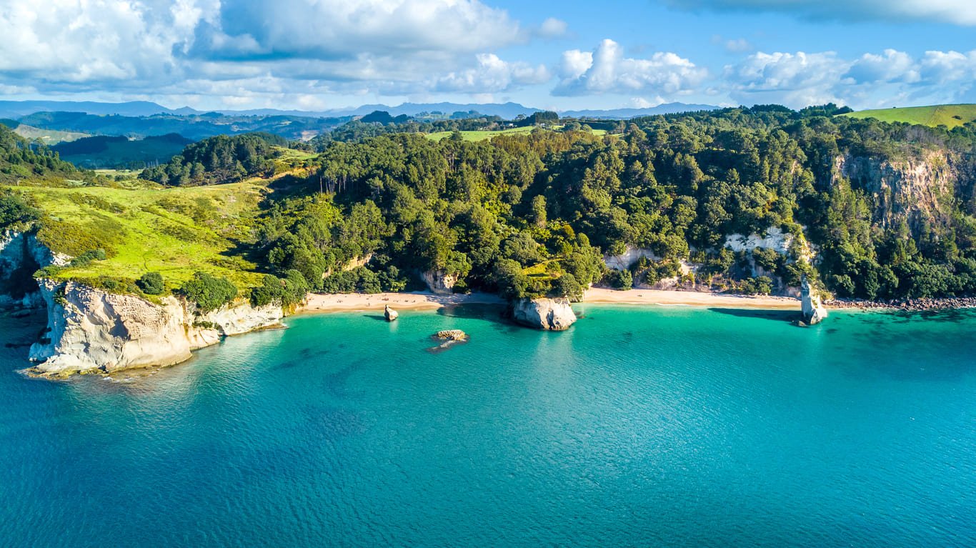 Coromandel coastline