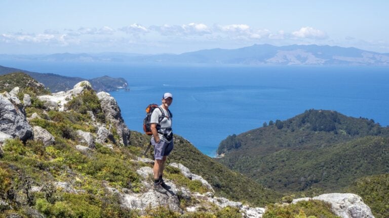 Great Barrier Island walk