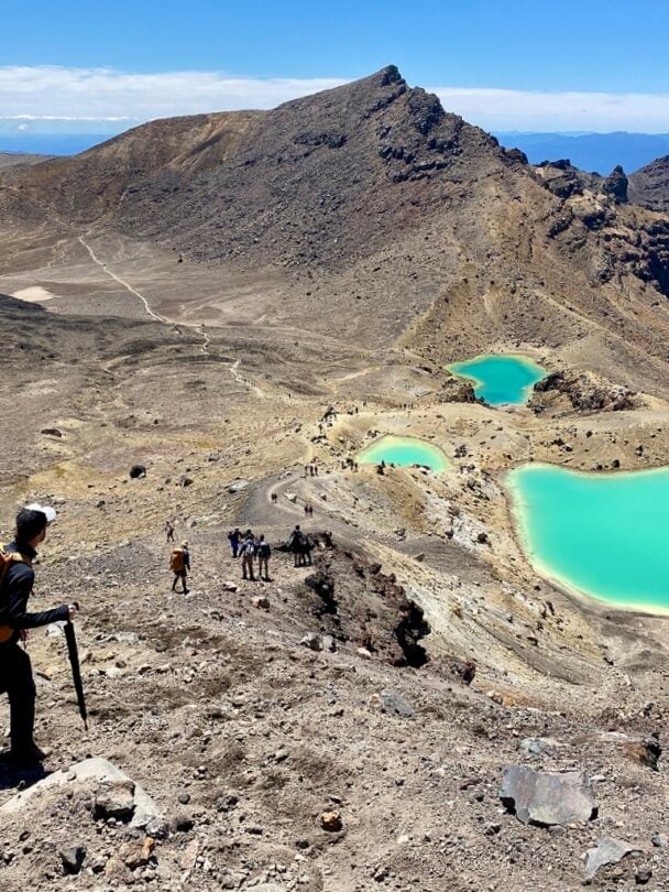 Guided walk North Island NZ