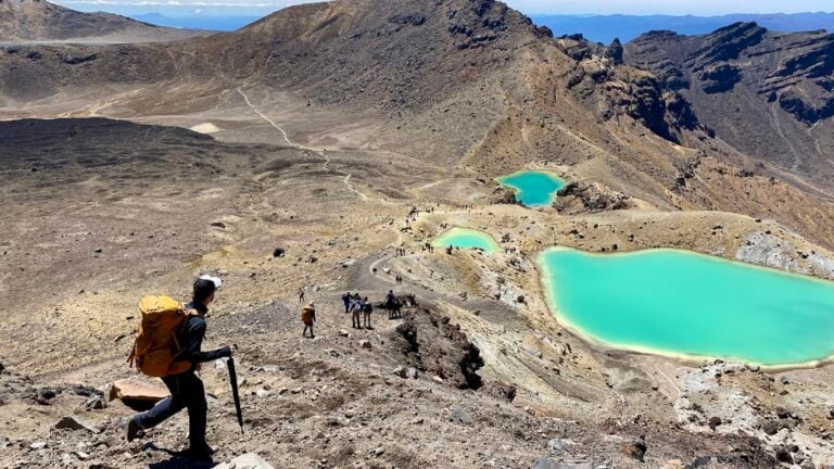 Guided walk North Island NZ
