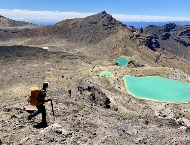 guided-walk-north-island-new-