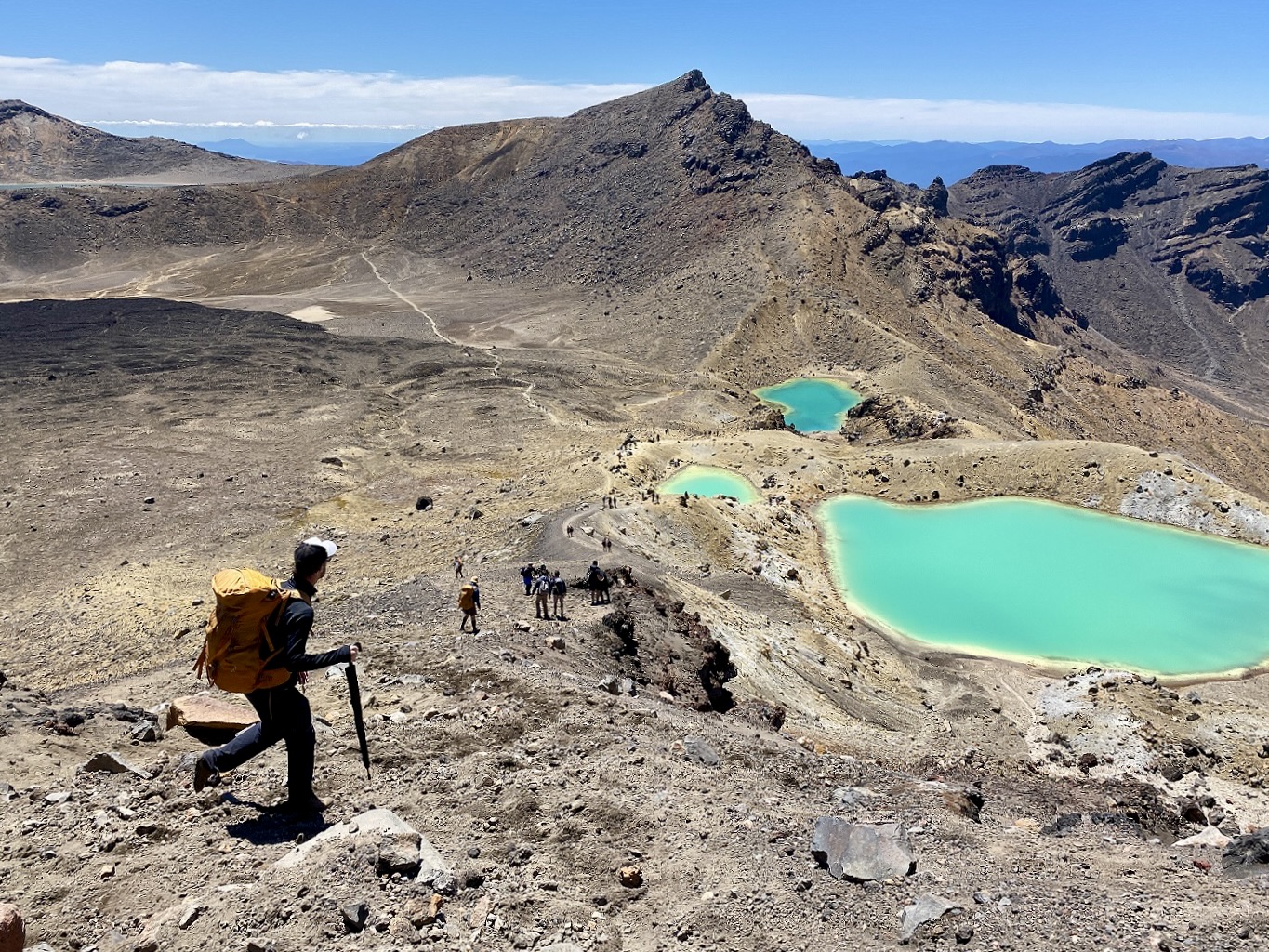 Guided walk North Island NZ