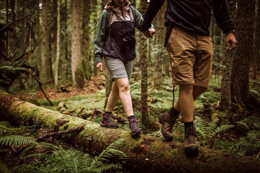 Couple of hikers on their adventure in forest