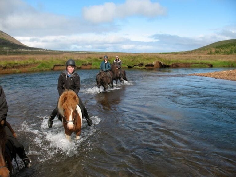 Horseback riding Iceland