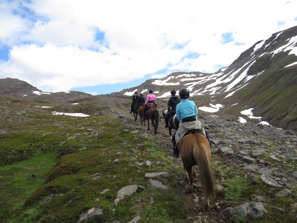 Horseback riding trail