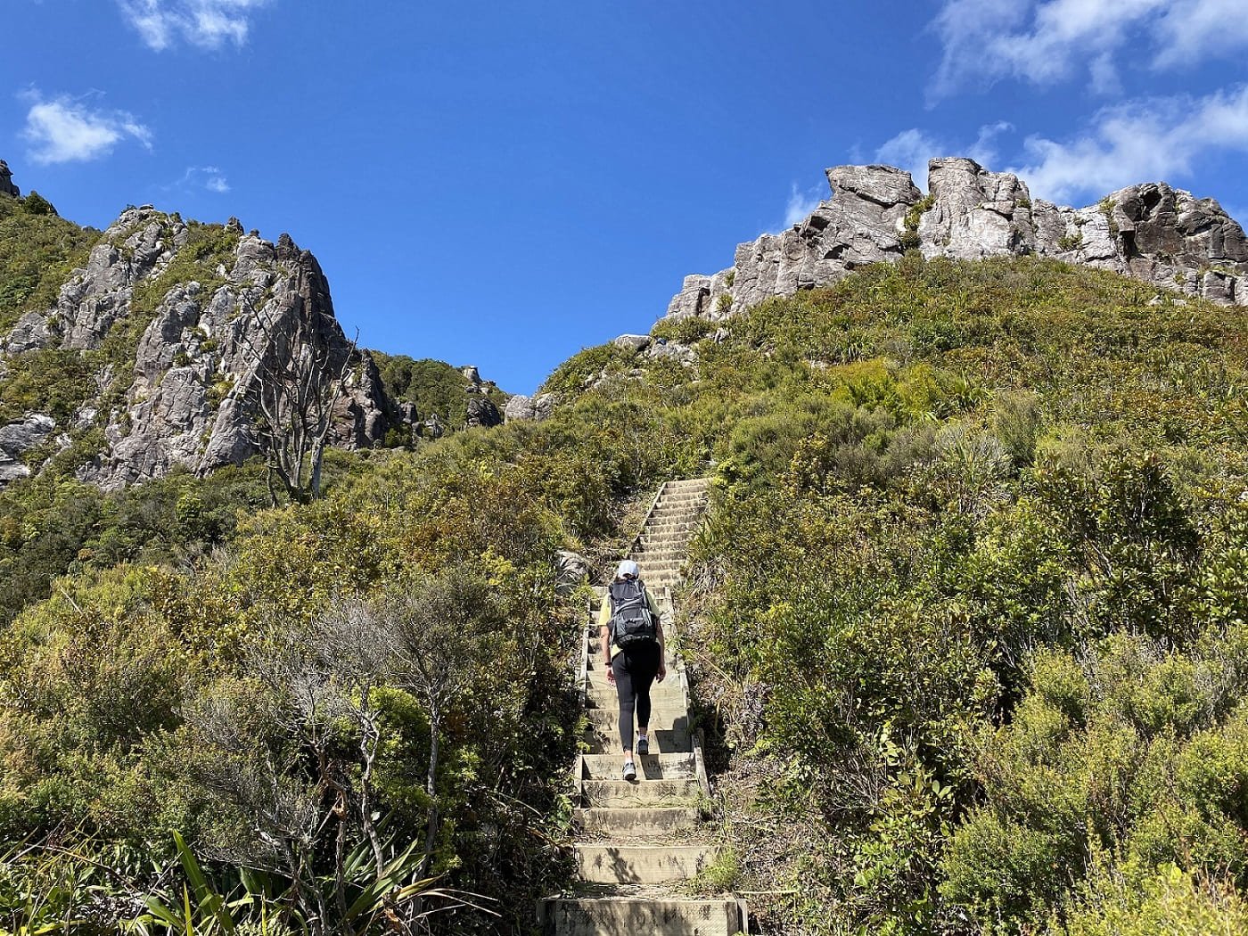 Kauaerenga trail pinnacles