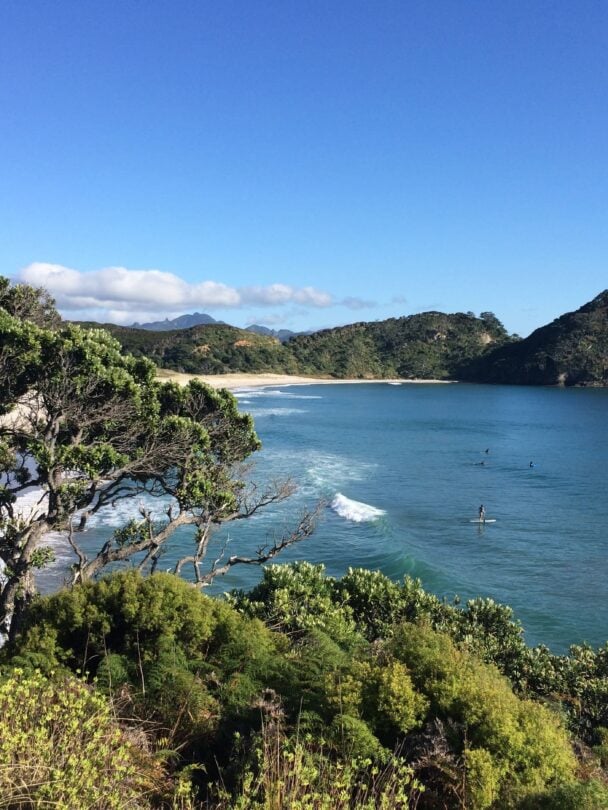 Great Barrier Island walk