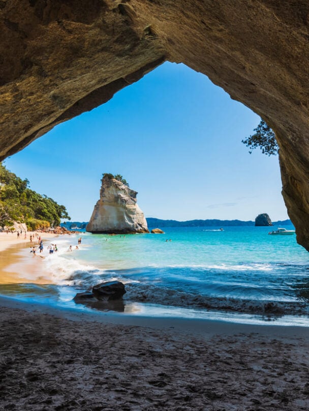 Guided walk North Island NZ