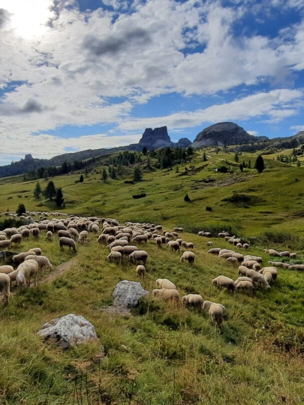 Dolomites hut to hut hiking