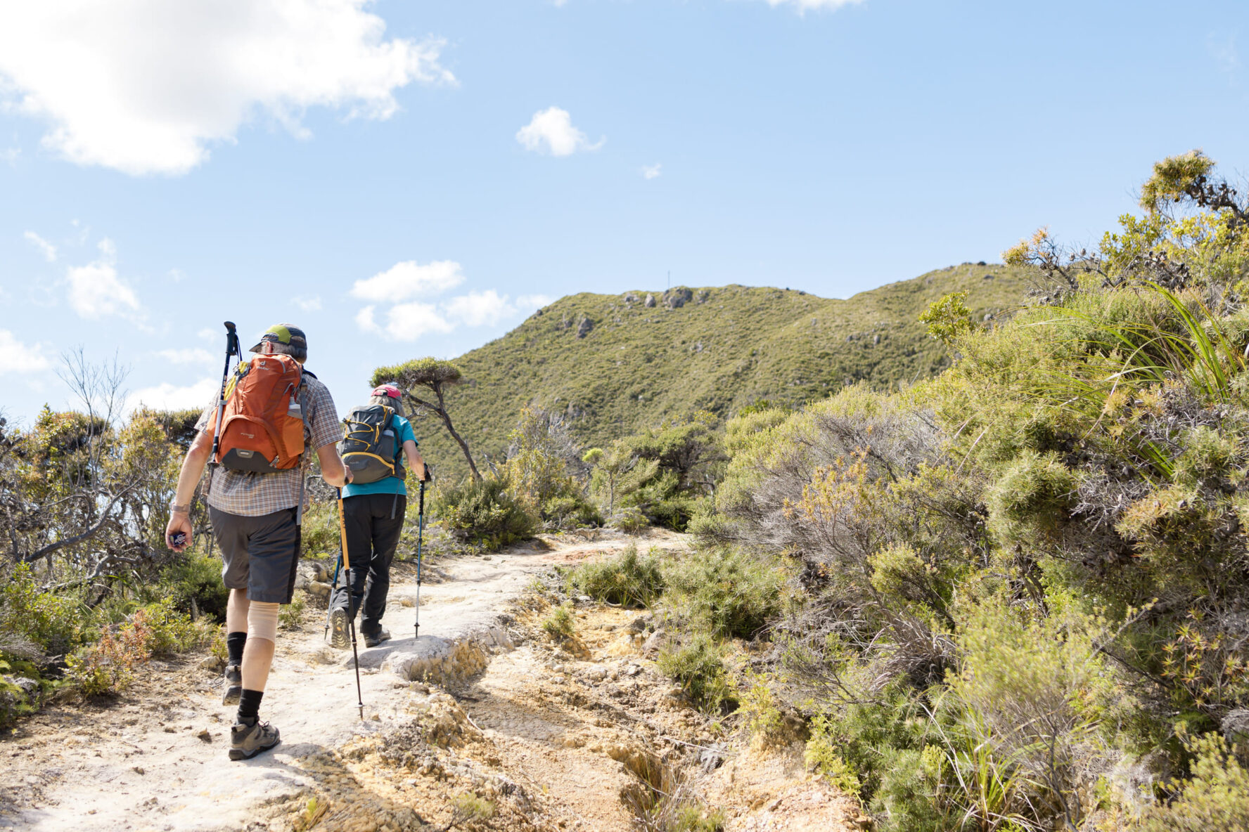 Te Ahumata hiking