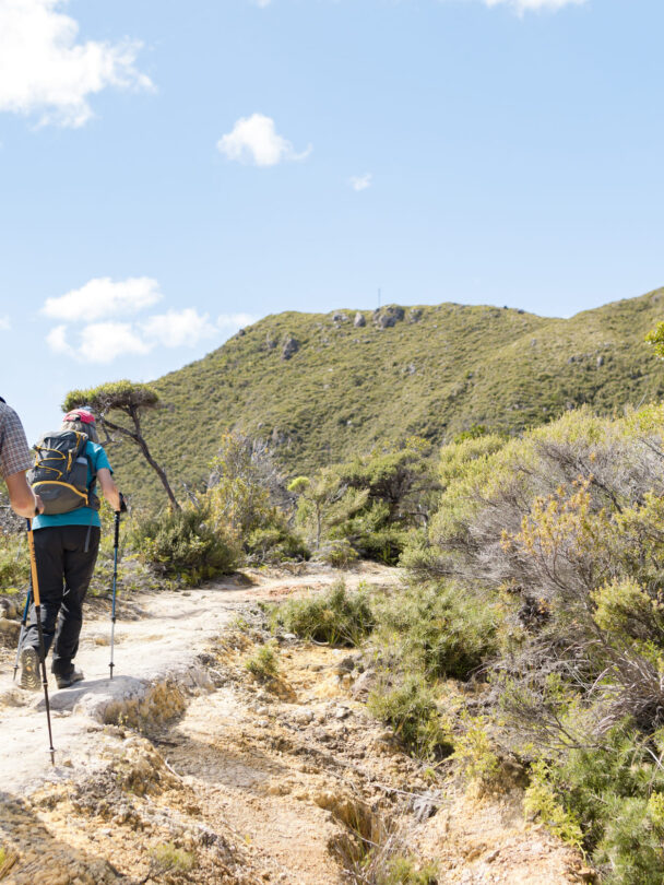 Great Barrier Island walk