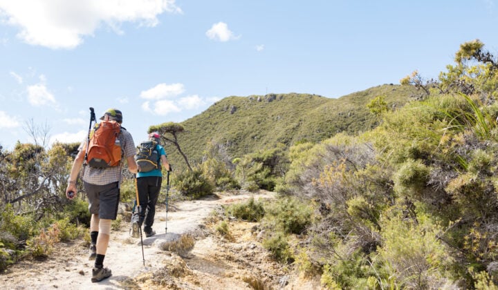 Te Ahumata hiking