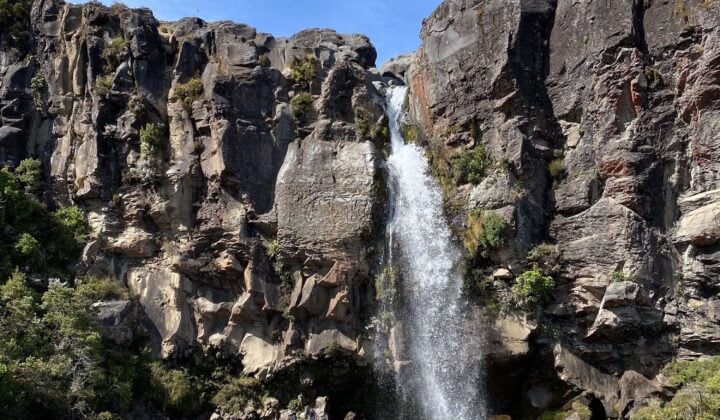 Waterfall North Island