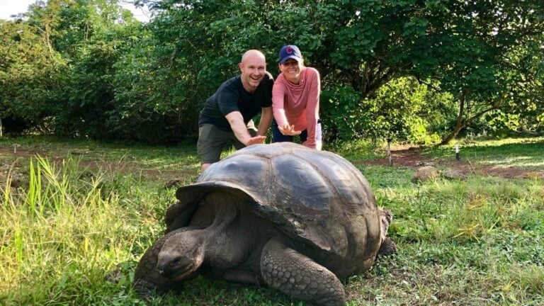 giant tortoise visit