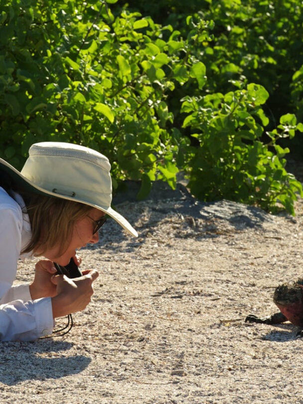 giant tortoise visit