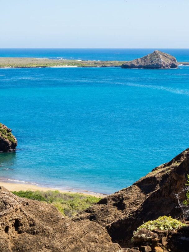 giant tortoise visit