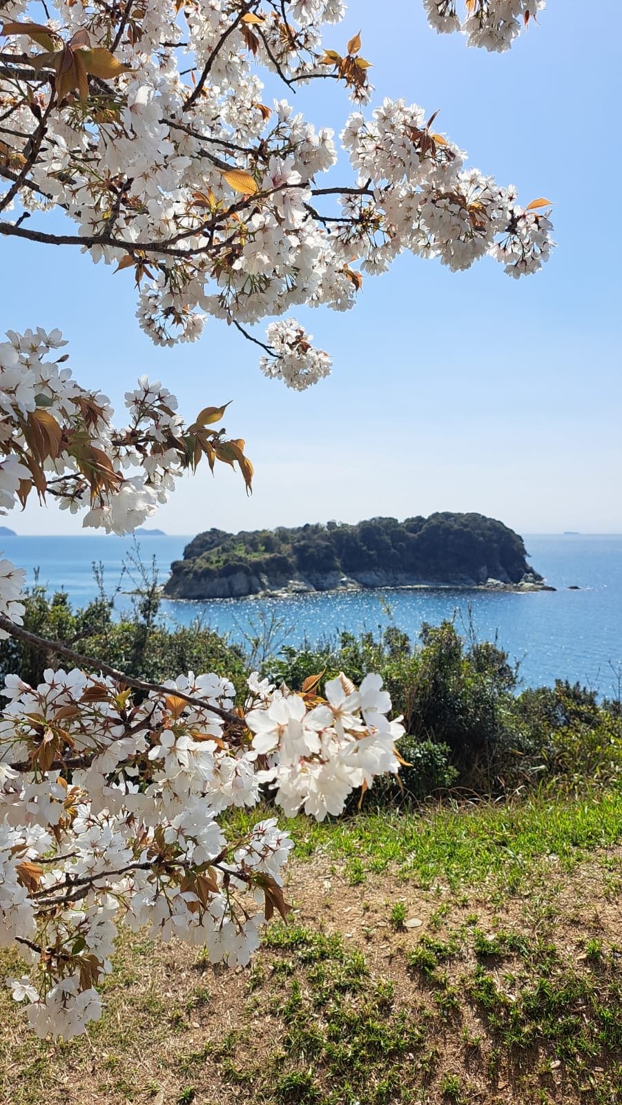 sea views japan
