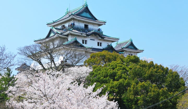 Wakayama castle Japan
