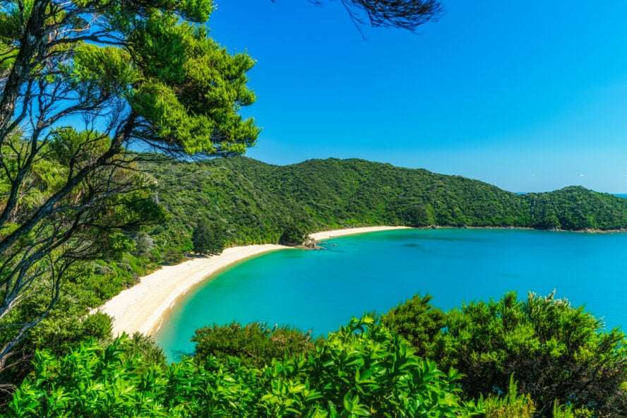 panoramic view of a tropical beach with turquoise water and white sand in abel tasman national park, new zealand