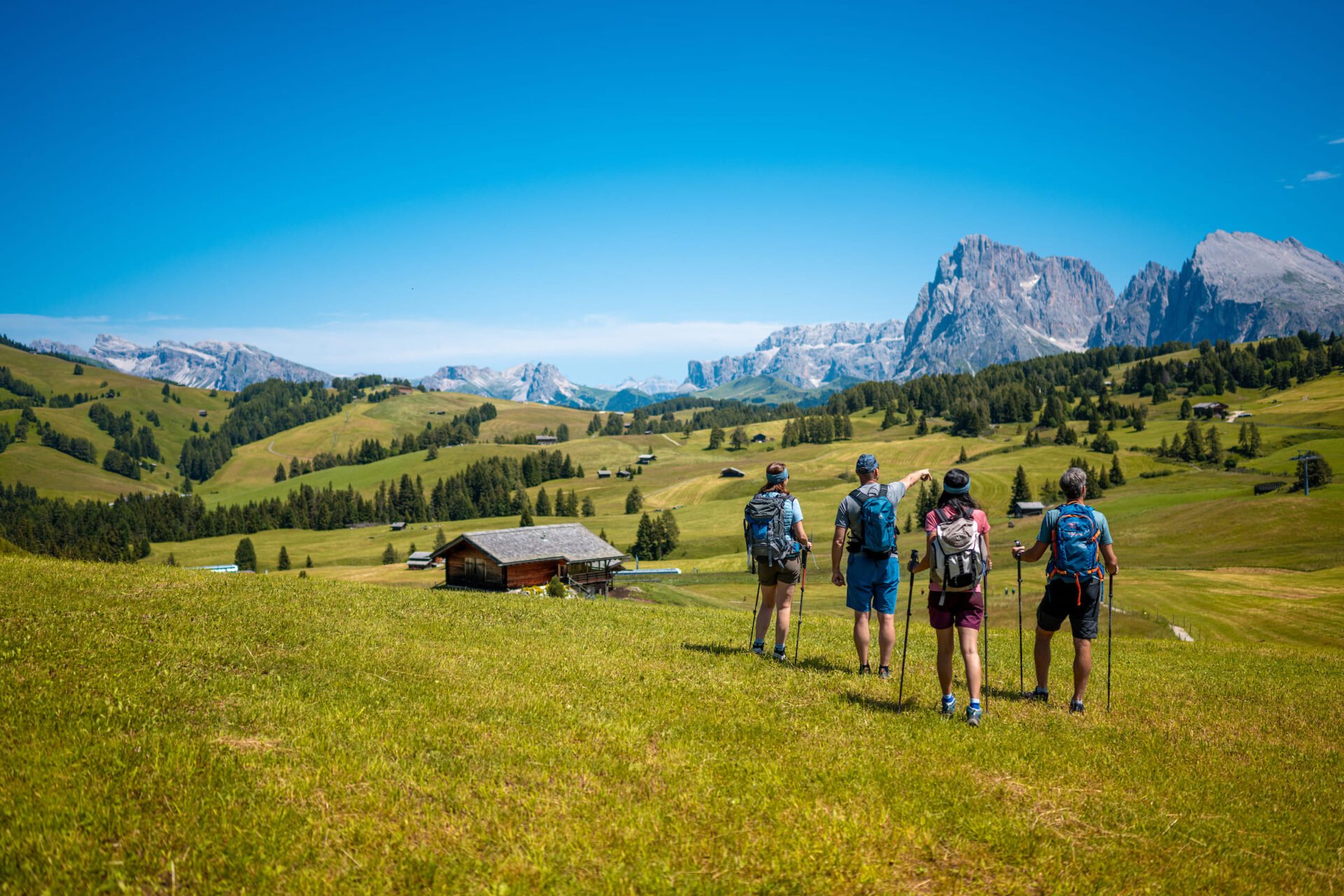 alpe di siusi guided hiking tour