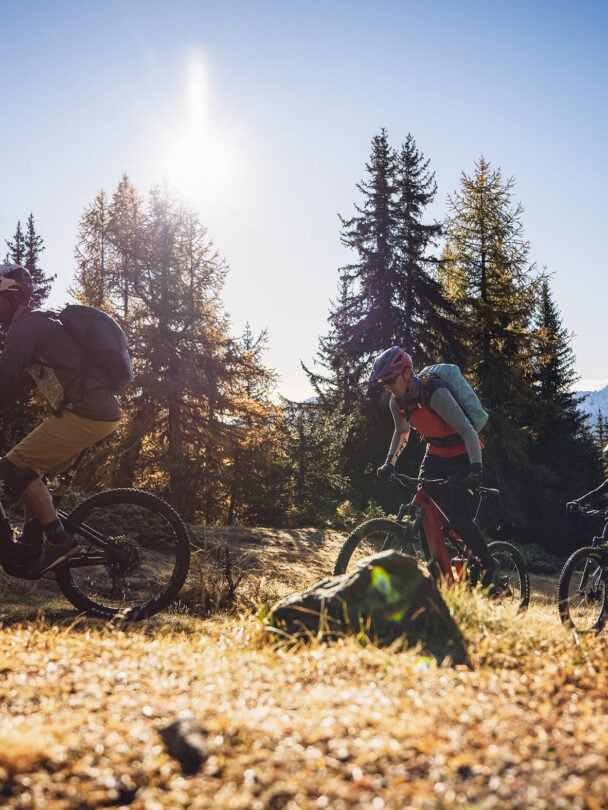 downhill riding alps