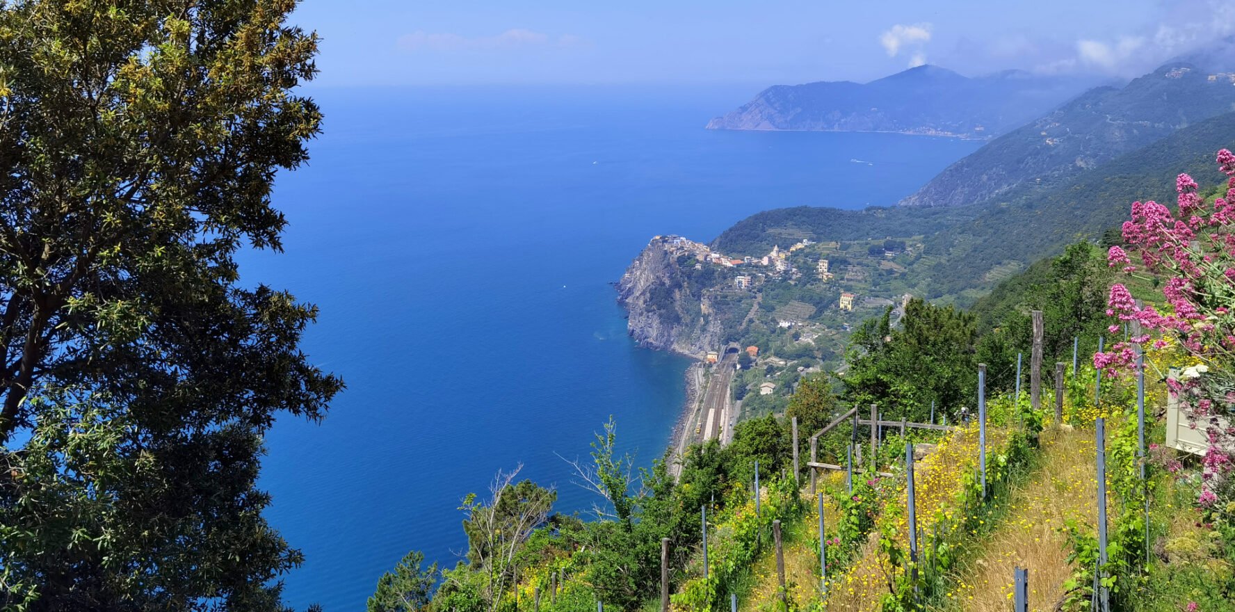 cinque terre high up