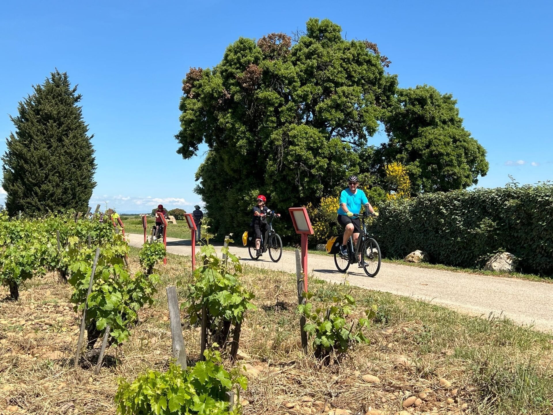 cyclists provence burgundy