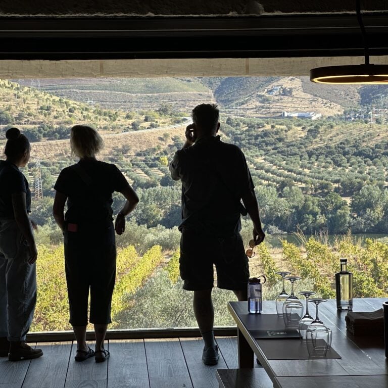 douro winery tasting
