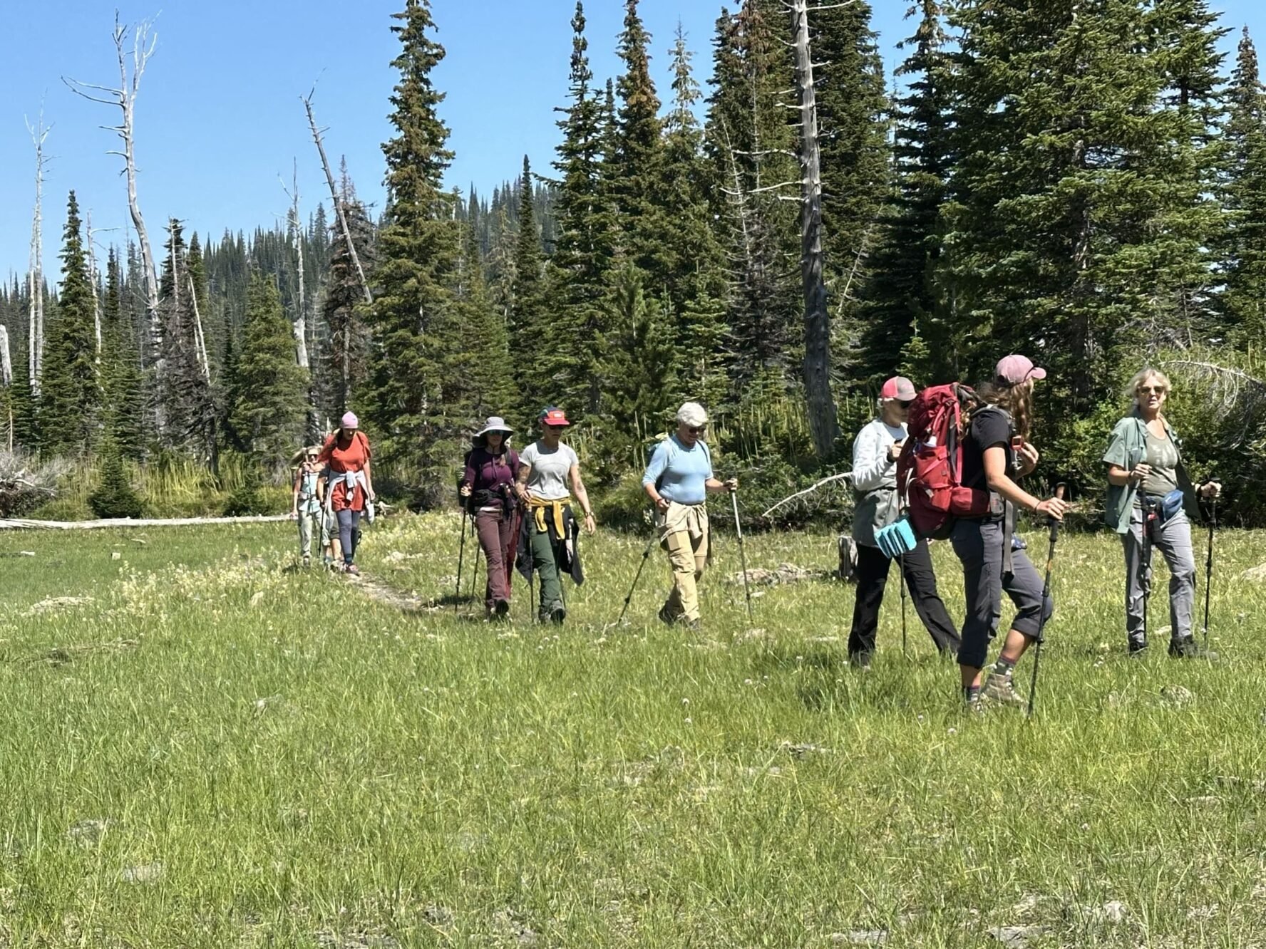 glacier national park montana